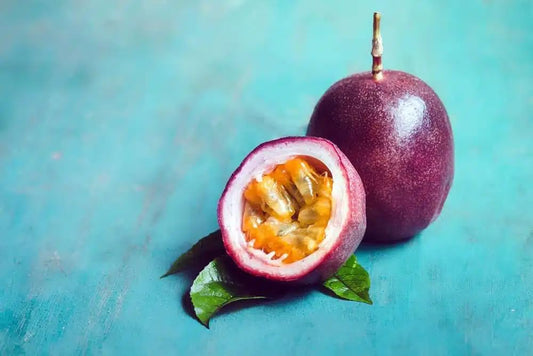 Live Plant - Purple Passion Fruit (Passiflora edulis) Fruit Live Plant 10″ -12″ Exquisite