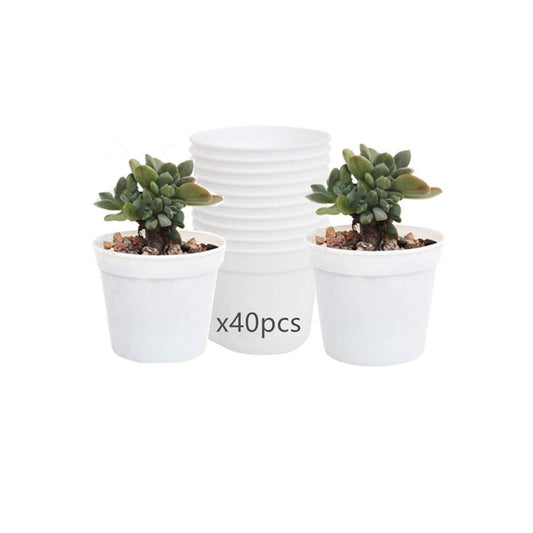 DODXIAOBEUL Round Succulents Plant Pots Drainage Hole, Set of 40 Mini Plant Pots 2.5" Wx2.25 H,Perfect for Plant Seeds,Seedling Nursery Transplanting Planter Container(White-40)