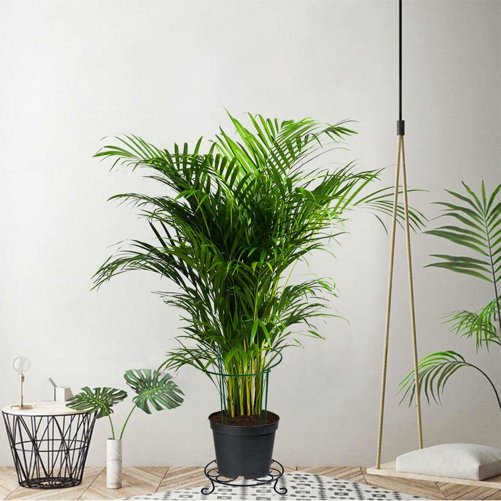 12 Pack 24 Inch High Plant Stake,Garden Plant Support,Half-Round Peony Cage Plant Ring Hoop