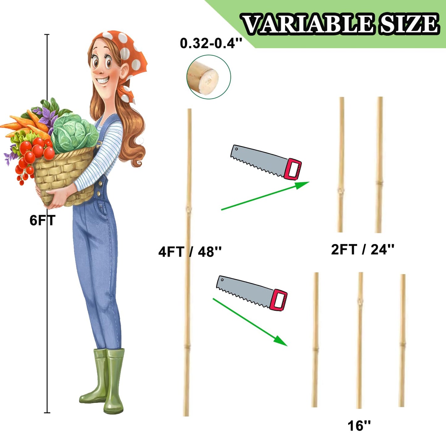 PFNRTH Bamboo Plant Stakes – 25pcs 4FT Natural Bamboo Garden Stakes for Tomatoes, Peppers, Beans, Indoor & Outdoor Plants, Sturdy Plant Support for Seedlings & Potted Plants