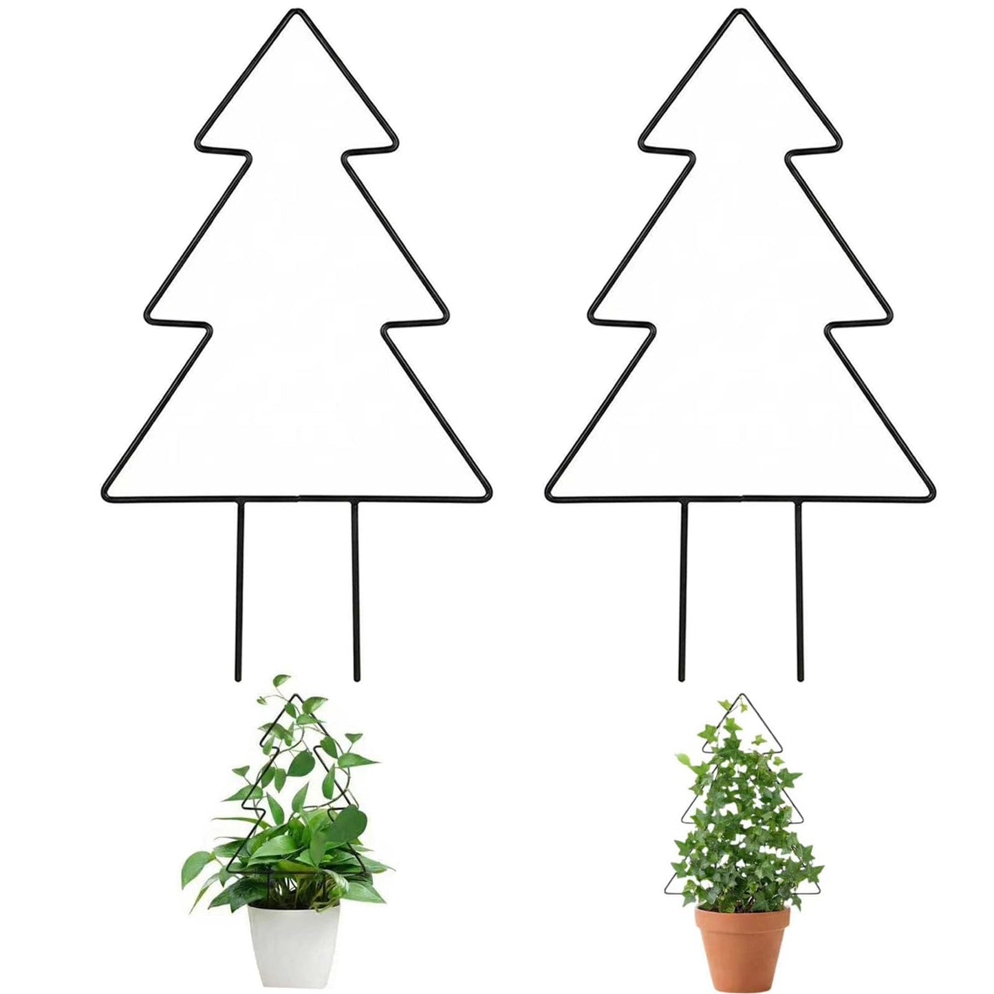 Metal Garden Trellis for Climbing Plants, 2 Pack Plant Support for Potted Plants Indoor & Outdoor, Black Iron Trellis with 20 Ties for Ivy Pothos Vines