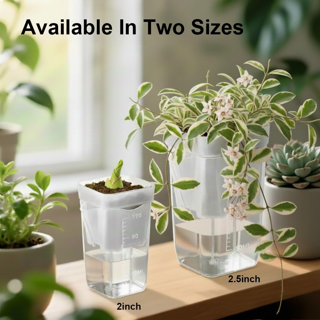 TineDew 10 Pack 2.5 inch Small self Watering pots for Indoor Plants,semi hydroponic pots for leca and pon,Clear Plastic Plant Pot for Propagation,Seedling,Cutting and African Violet (Clear, 2.5 inch)