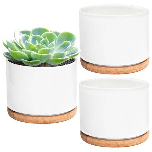 Set of 3 White Ceramic Pots for Succulents with Bamboo Trays for Home Decoration