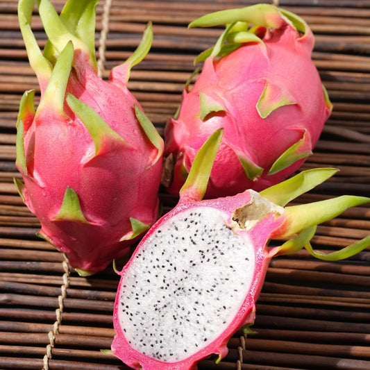 Dragon Fruit Plant Live in 3 Gallon Pot, Tropical Dragon Fruit Vine Plant, Sweet Fruits Plants for Outdoor Planting
