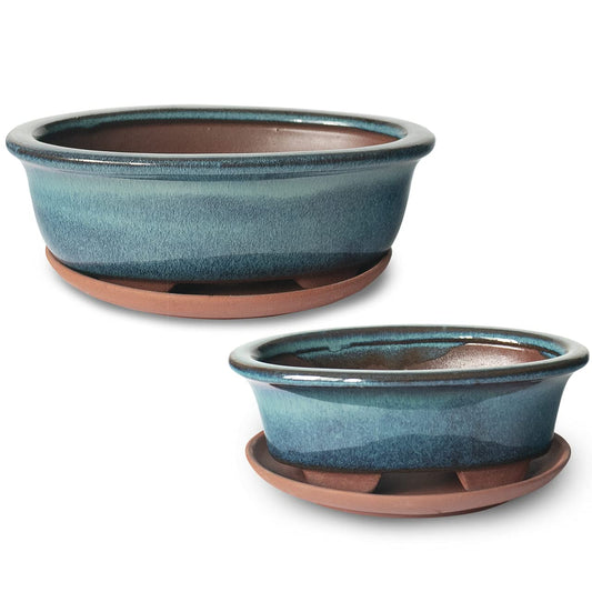 Dahlia Ceramic Succulent Pot/Bonsai Pot w Drainage Hole & Detachable Saucer, 2pc Oval