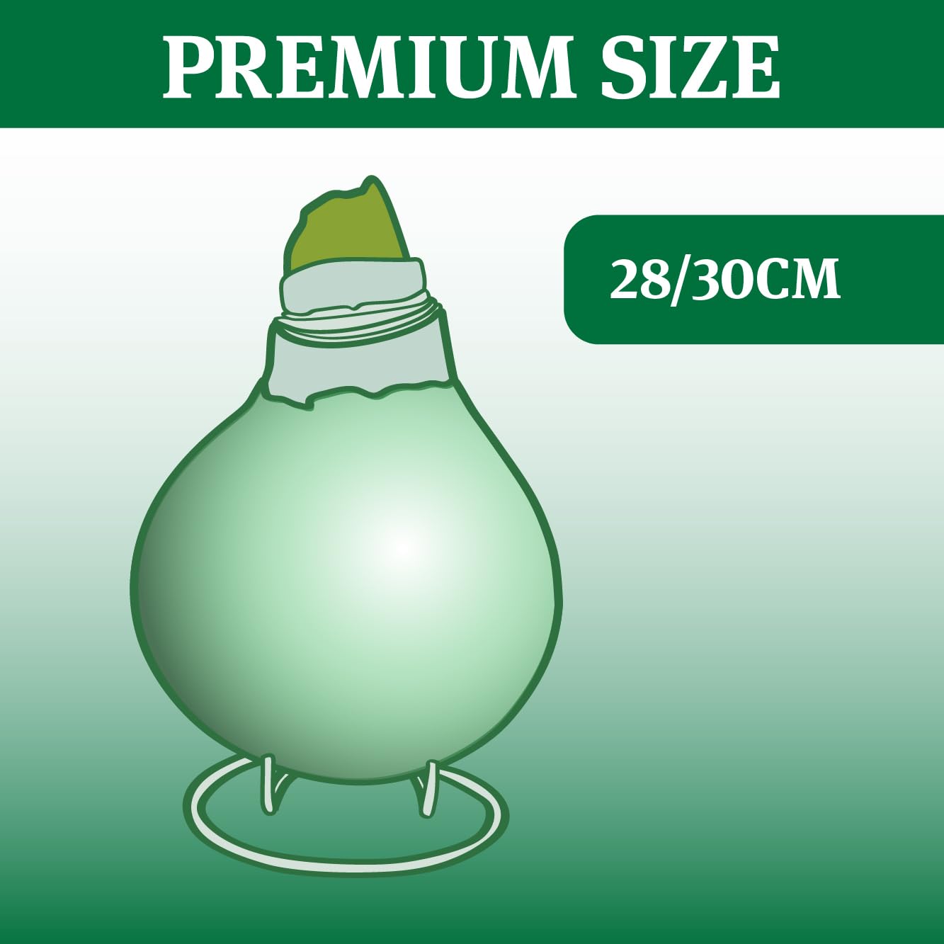 Blue Skies Waxed Amaryllis Flower Bulb with Stand, Grow Real Blooming Indoor Spring Flowers, No Water Needed