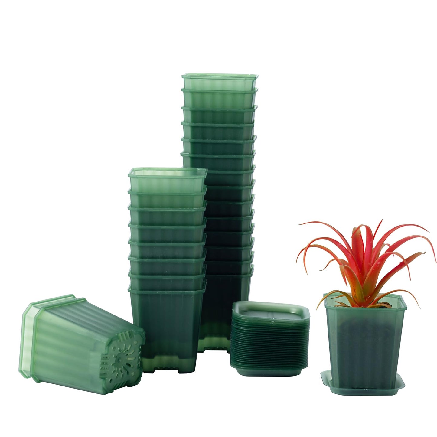foxany 3 Inch Transparent Green Nursery Pots, 30 Pcs Thick Plastic Plant Pot, Square Flower Planting Pots Variety Pack, Seedling Planter Starter Pots with Saucers for Garden
