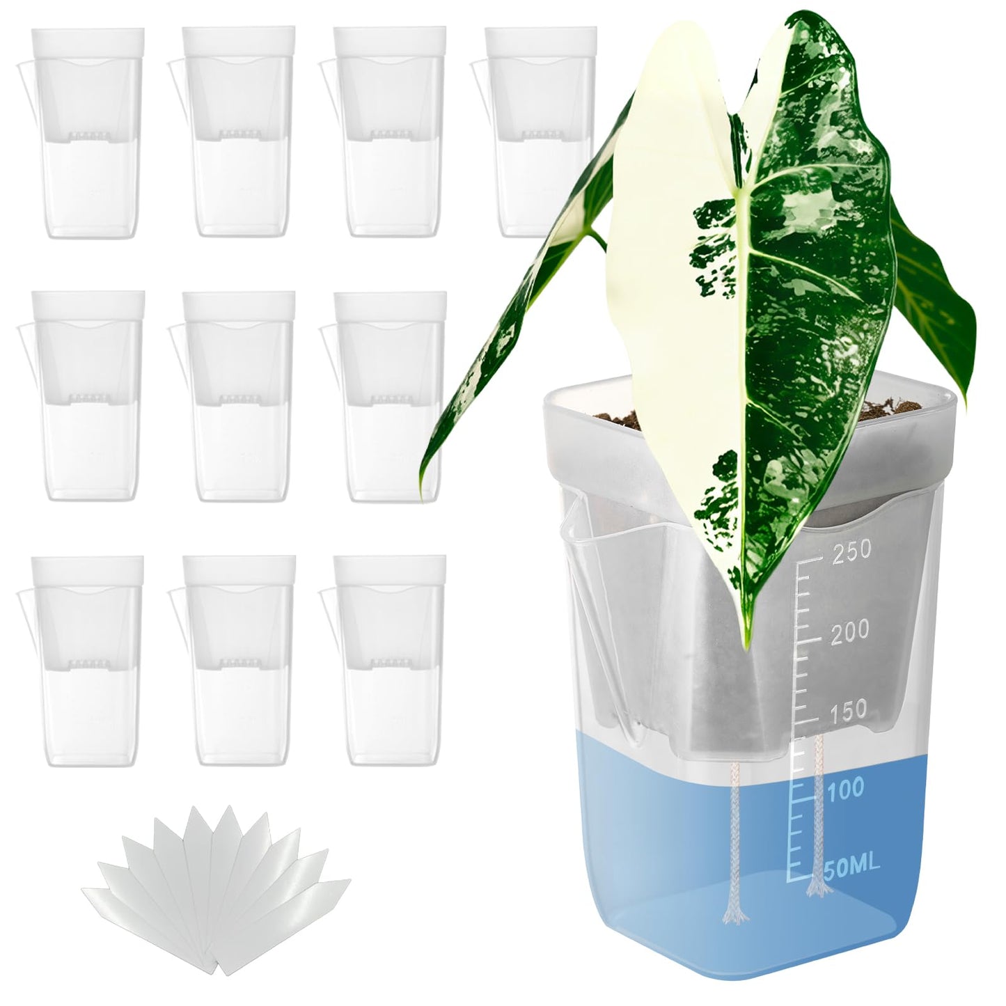 TineDew 10 Pack 2.5 inch Small self Watering pots for Indoor Plants,semi hydroponic pots for leca and pon,Clear Plastic Plant Pot for Propagation,Seedling,Cutting and African Violet (Clear, 2.5 inch)