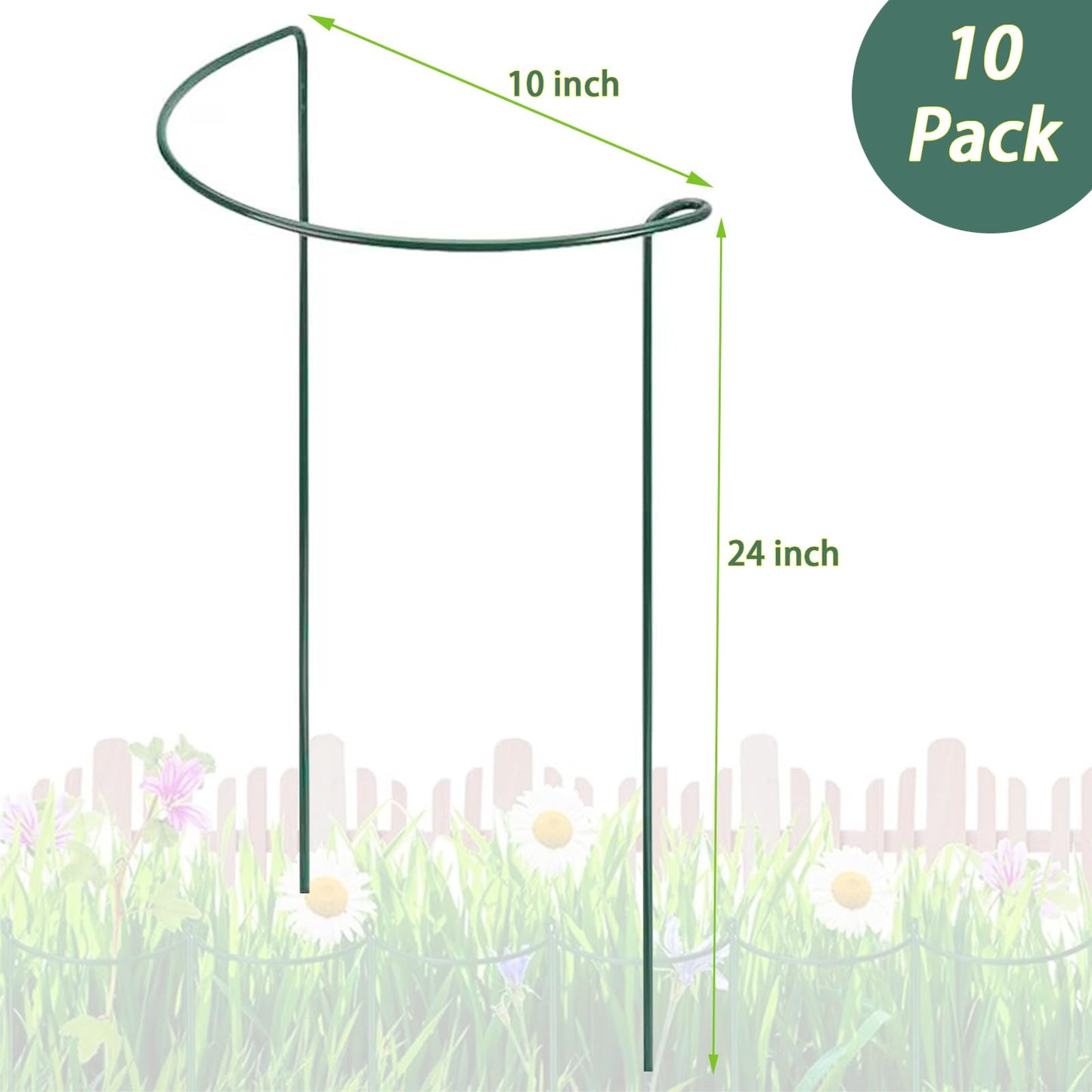 Behidiruch 10 Pack Plant Support Stakes, 4 mm Thick 24 Inch Half Round Metal Garden Stakes, Plant Support Cages Ring for Peony Tomato Hydrangea Rose Flower Indoor Outdoor (10" Wide x 24" High)