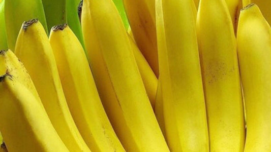 Live Plant - Sweetheart Banana - Musa - 2 Live Plants