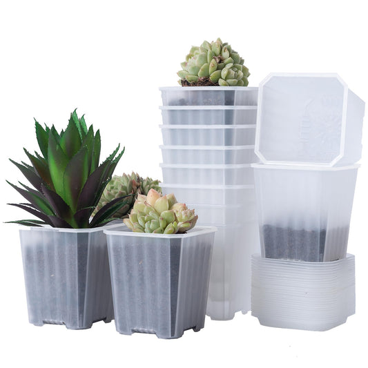 foxany 3 Inch Clear Nursery Pots, 30 Pcs Thick Plastic Plant Pot, Square Flower Planting Pots Variety Pack, Seedling Planter Starter Pots with Saucers for Garden