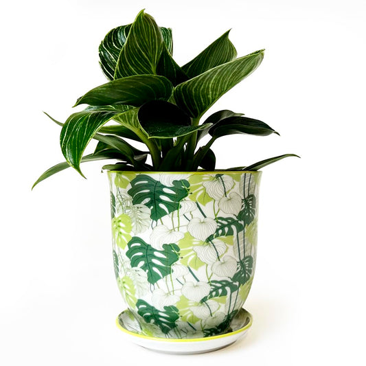 CHIVE 'Liberte' Ceramic Succulent Planters — Cute 4.25 Inch Vintage Style Pots for Indoor Plants — Beautiful Home and Kitchen Décor — Monstera