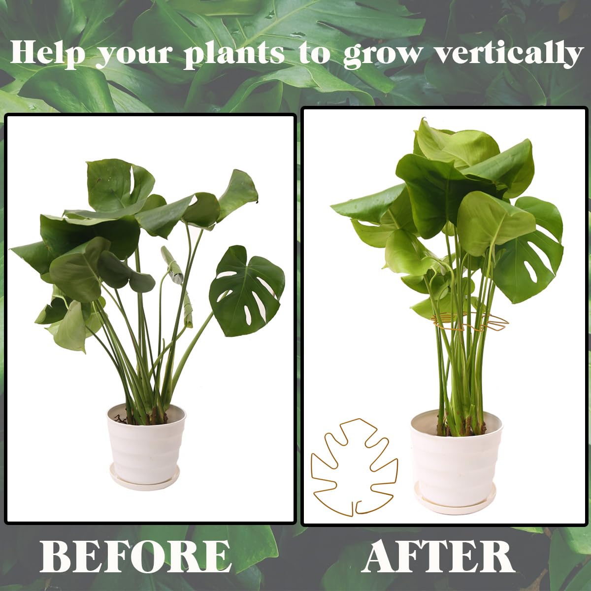 Spiritlele 5 Pcs Yellow Plant Stem Support Holder Set Monstera Plant Support Clamp Growth Accessories for Indoor Plants Big