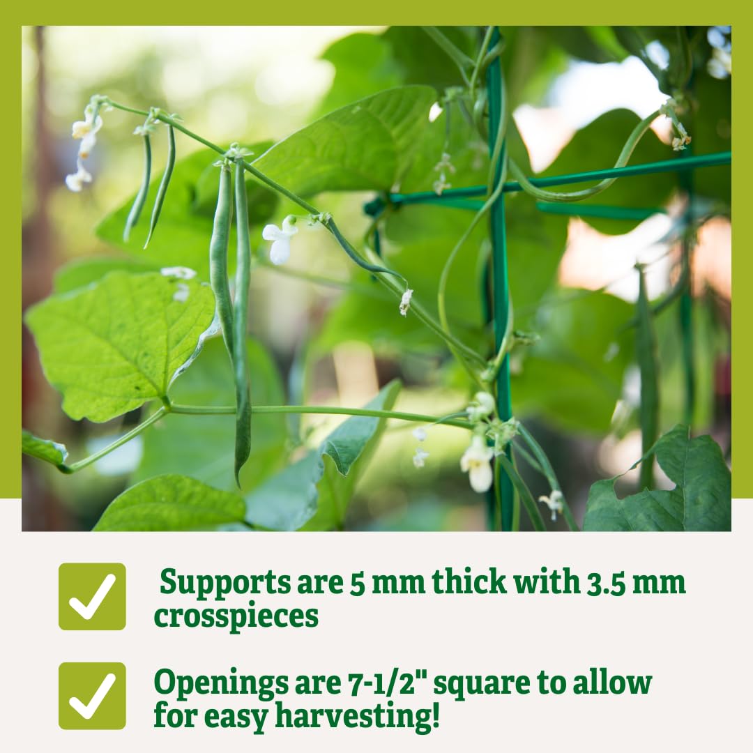 Gardeners Supply Company Large Bean Tower Plant Support | Sturdy Weatherproof Outdoor Beans, Tomato & Other Climbing Vegetable Garden Stake | 75" H - Green