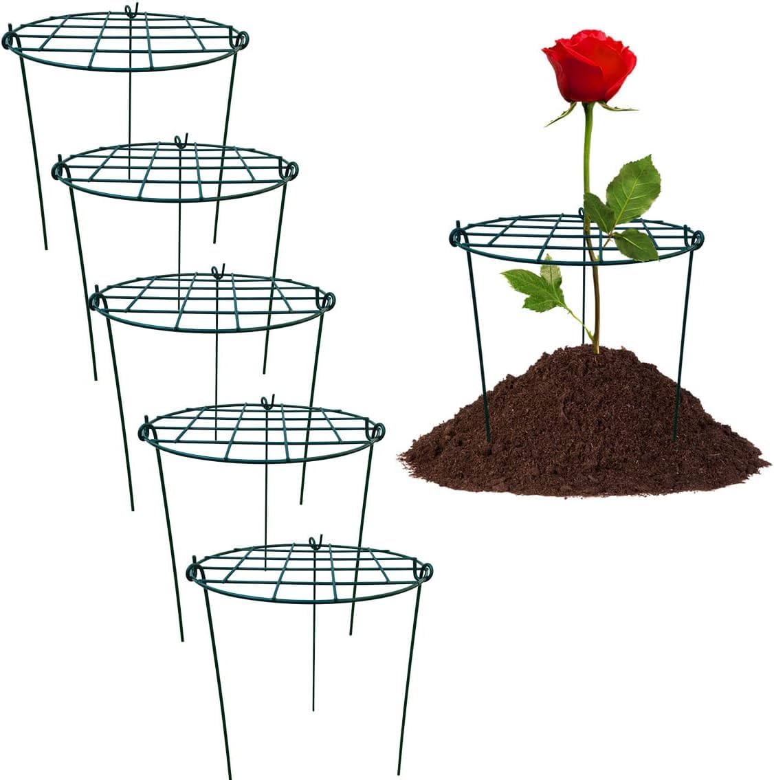 5 Pack 12 x 16 inch Poeny Cage Grow Through Grid Plant Brace Flower Support Rings,Round Metal Plant Stakes Rings, Strong Large Garden Supports for Flowers, Peonies, Rose, Lily