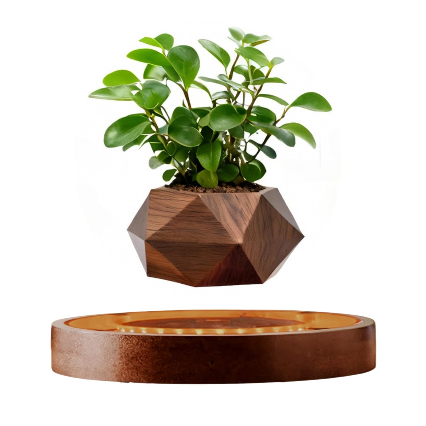 MOOCCI Levitating Plant Pot with Light, Magnetic Floating Flower Pot with Rotating and Auto-Spinning, Brown Wood Grain Planter for Succulents, Cool Desk Decor for Home Office, Unique Gift Idea