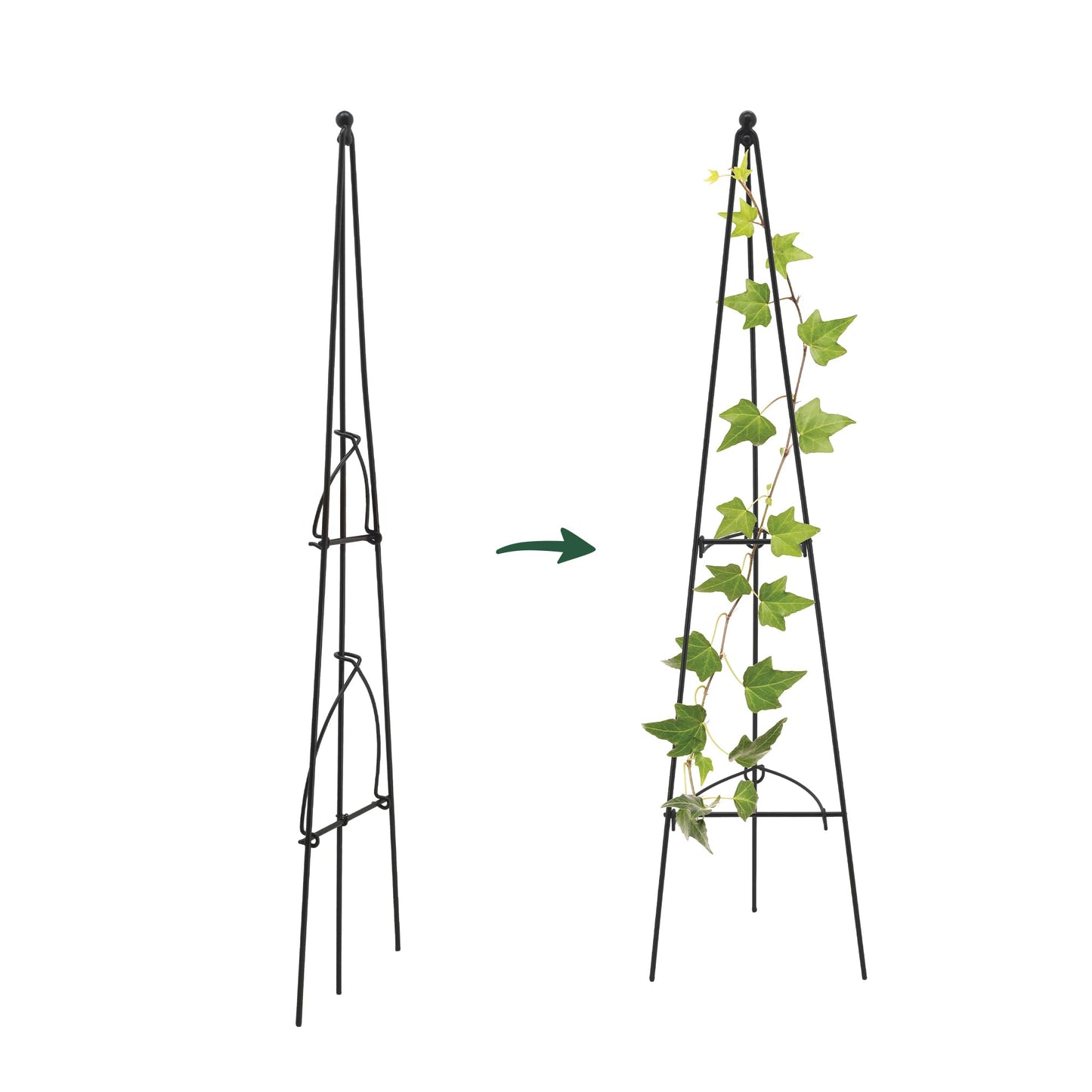 Arcadia Garden Products – No Assembly Required – 3 ft Folding Metal Obelisk Trellis for Climbing Plants – Plastic-Coated Grow Support for Indoor Outdoor Flowers, Vegetables, Vines, Ivy