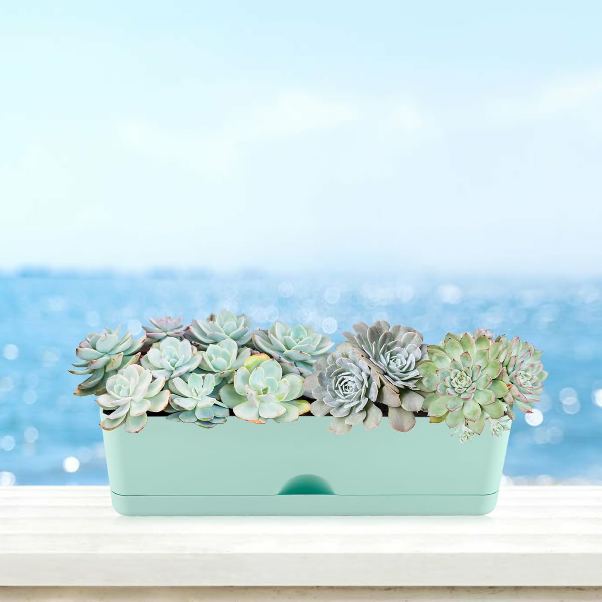 6 Pack Rectangle Planter 16 Inch Window Boxes Planters Rectangular Large Window Sill Planters Indoor Self Watering Plant Pots with Drainage Holes and Saucers Succulent Herb Flower Pots, Macaron Color