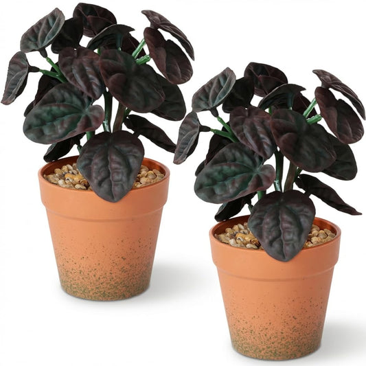 Fawairyc 2 Pack Artificial Potted Plant,8 inch Small Realistic Faux Peperomia Leaves for Farmhouse Desk Indoor Decor, Fake Greenery for Office Table Kitchen Bathroom and Bedroom Decor(Purple-red)