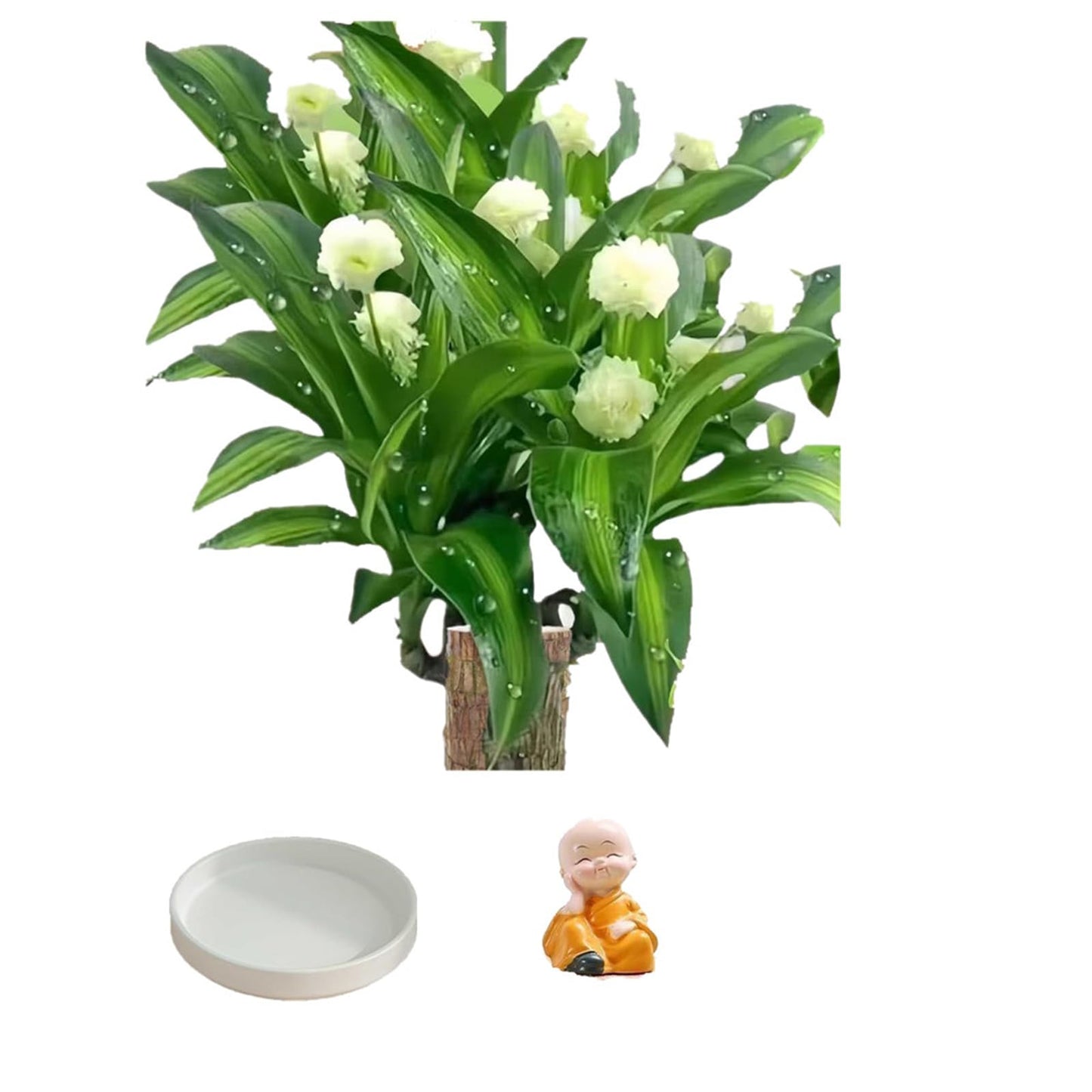 Generic Brazilian Wood，Brazilian Lucky Wood Desk，Brazilian Wood Decor，2024 Newly Mini Brazilian Wood Home Decor (Monk), zxc23