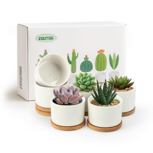 ZOUTOG Succulent Pots 3.1 Inch,6 Pack Succulent Planters,Small Pots for Plants with Drainage and Tray,White Ceramic Flower Planters for Indoor Plants,Home,Office,Desk