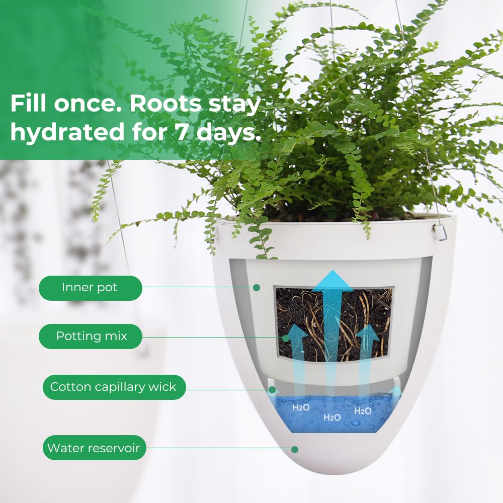 Self-Watering Hanging Planter: 6 Inch Inner Diameter, Indoor Outdoor, Stainless Steel Wire Hanger & Drip Tray, Pothos Philodendron Fern Herbs Scindapsus, Modern Minimalist Design (3 Pack, White)