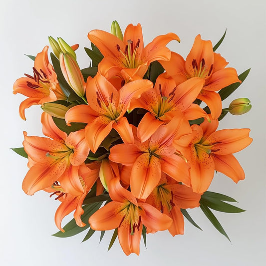GlobalRose 20 Orange Asiatic Lilies – Responsibly Sourced Lily Flowers – Hand-Picked Flowers Fresh Bouquet for Graduation, Anniversary, Birthday & Special Occasions