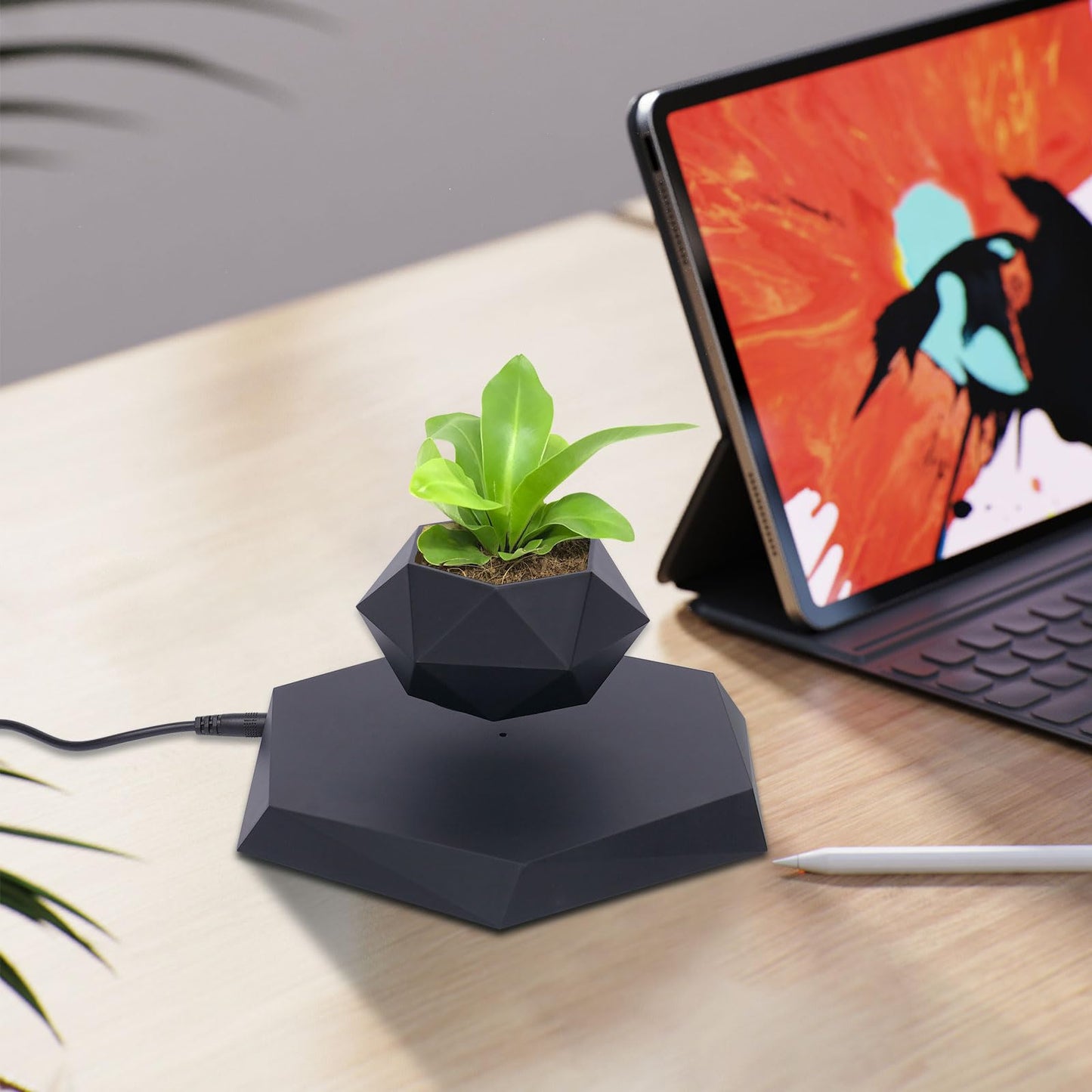 EEYBLAEEY Levitating Plant Pot Floating Plant Pot Magnetic Flower Air Bonsai Black Hexagon Suspension Floating 360 Degree Rotation Pot Home and Office Desk Decor