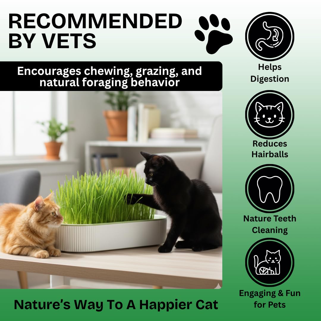 Hydroponic Cat Grass Grow Kit for Indoor Cats - Cat Lover Gift - New Pet Present - Grow Container and 2 Oz Cat Grass Non-GMO Seeds - No Soil or Tools Needed - Modern Look - Loved by Pets