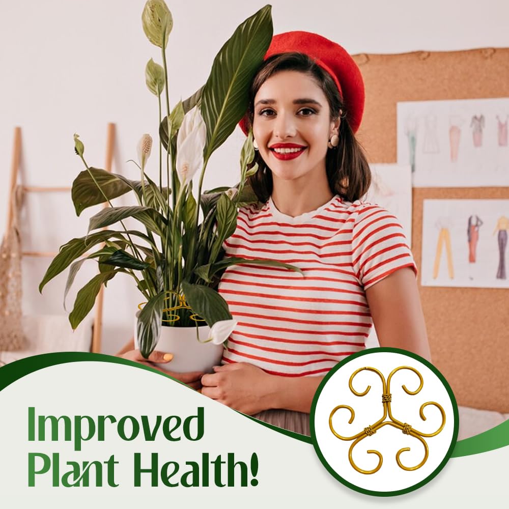 PETUPS Monstera Plant Support, 2025 Durable Monstera Stabilizer Grapple Holder, Stable Plant Support Stakes Garden Clips for Climbing Plants, Ideal Plant Stem Holder for Thriving Growth (6PCS, #A)