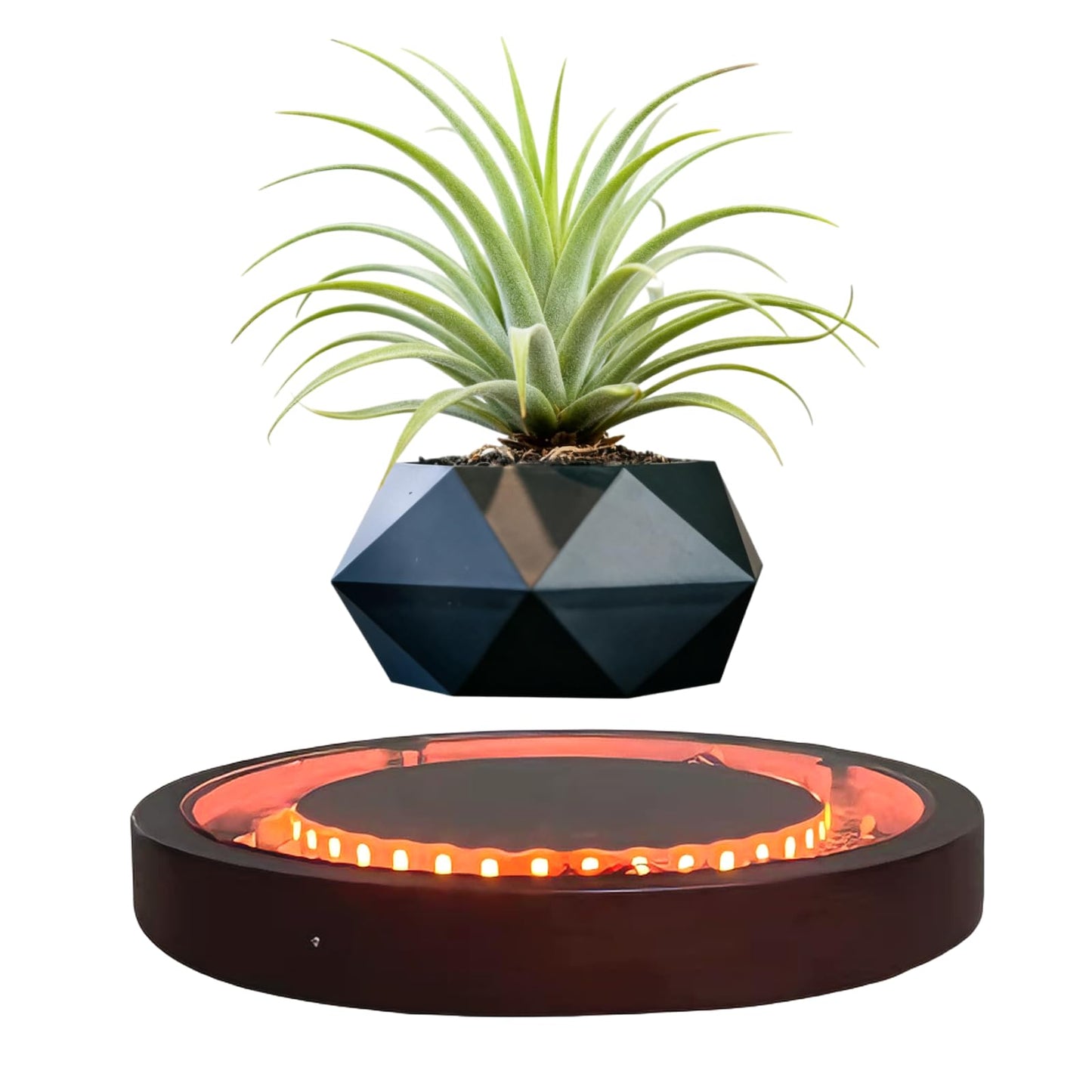 CENTRALEV Magnetic Levitating Plant Pot,Rotating Floating Planter for Succulents Air Plants,Unique Desk Decor with LED Light for Home Office, for Christmas, Valentine‘s Day, Mother’s Day