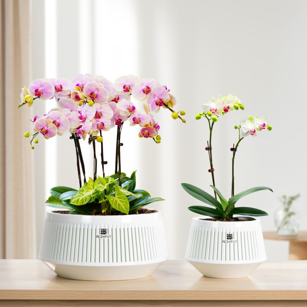 Meshpot 5 inch Orchid Pots with Holes for Repotting,Set of 3,Decorative African Violet Pots with Air-Pruning and Good Air Circulation,Plastic White Orchid Planter with Saucers