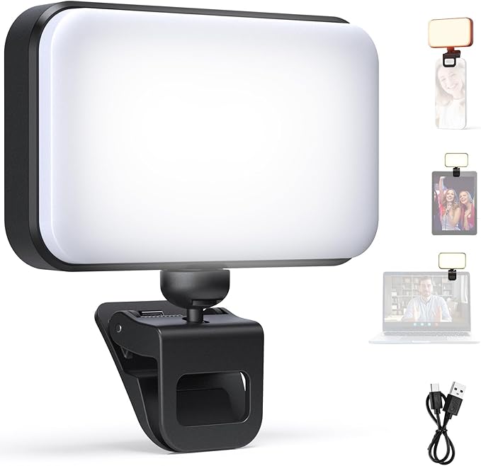 NEEWER Entry Level Version LED Selfie Light, Plastic Clip on Phone Fill Lighting for iPhone, 66 LEDs CRI92 Portable for Computer Laptop Webcam Zoom Video Conference Makeup Recording Streaming, N6