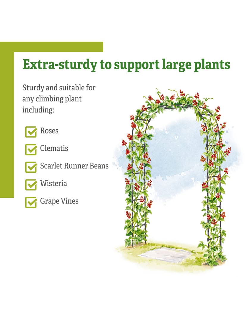 Gardener's Supply Company Titan Arch Arbor Garden Trellis | Sturdy Tall Garden Arch Plant Support for Climbing Plants, Vines and Flowers | Elegant Wedding Entryway & Outdoor Lawn Tower | 96”H x 59”W