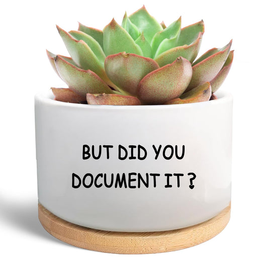 Office Desk Shelf Decor, Succulent Plant Pot, Ceramic Flower Cactus Planter Office Accessories Gifts for Coworker Employee Colleague Women Men Friend, But Did You Document It (Plants Not Included)