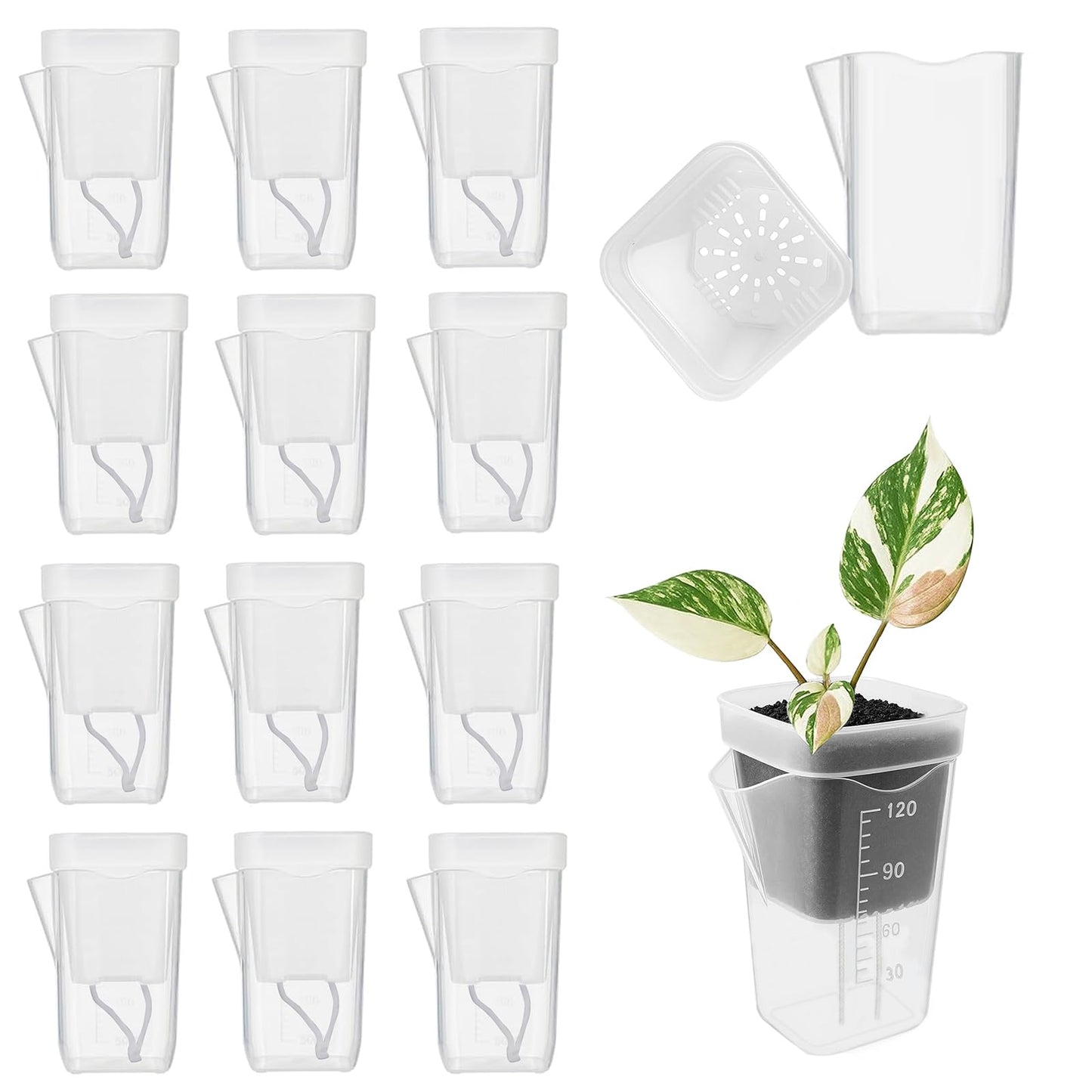 20 Set Clear Self Watering Pots for Indoor Plants, 2'' Mini Self Watering Planters with Wicks & Water Level Indicator, Plastic Automatic-Watering Pot for African Violet, Succulent (Plant Not Included)