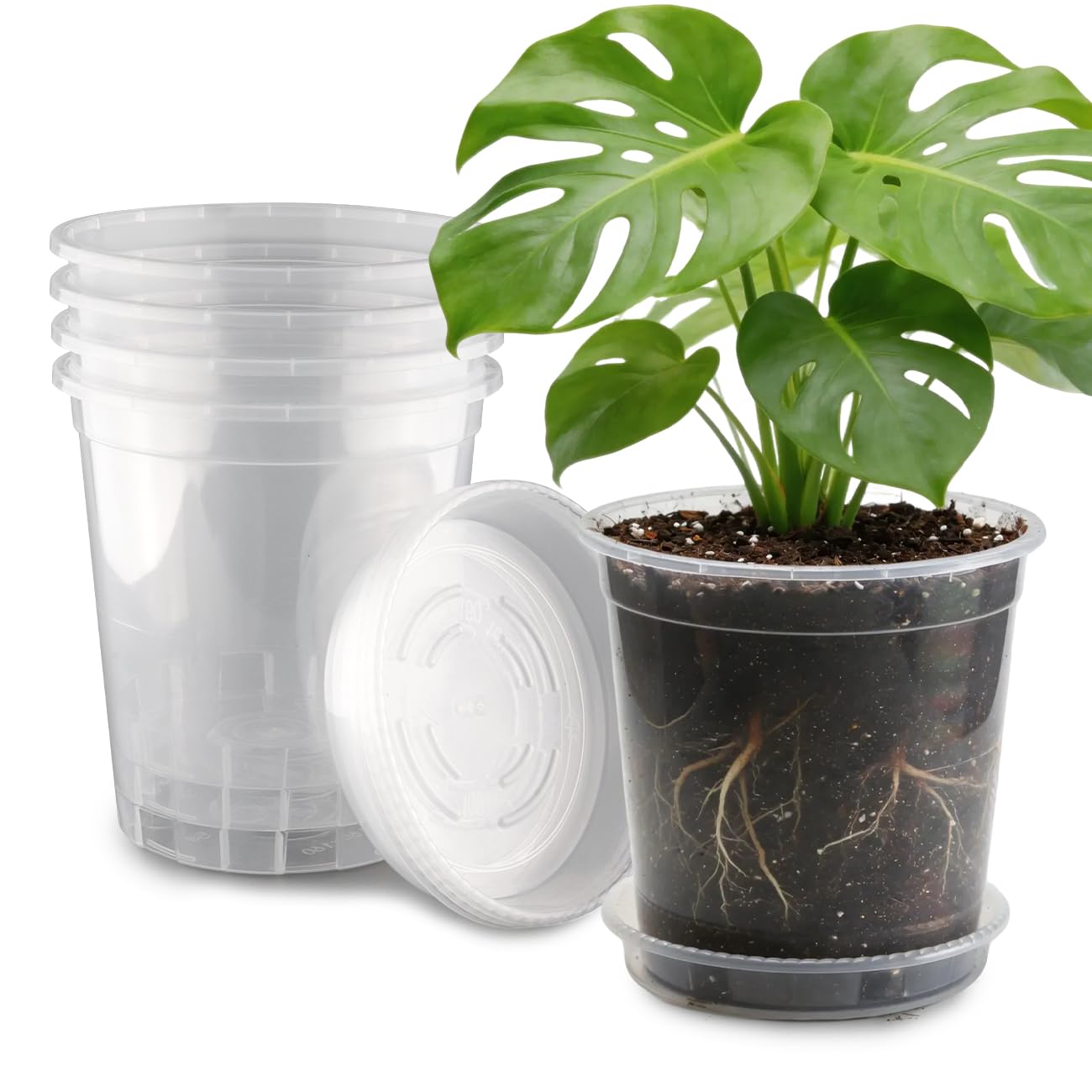 BTPLASTIK 3 Gallon Clear Nursery Pots with Saucers 5P, 10 Inch Round Plastic Plant Pots with Drainage Holes