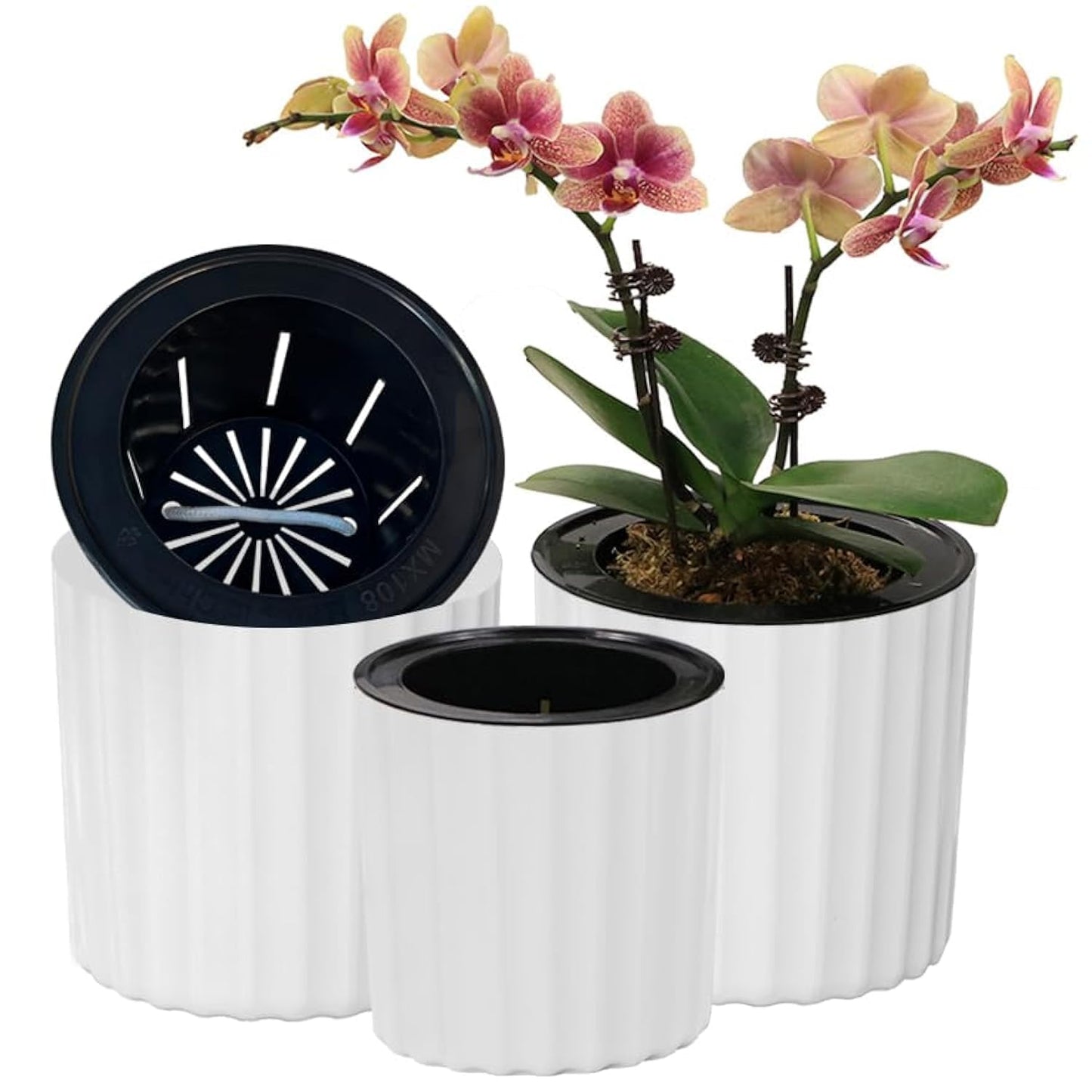 MUZHI Orchid Pot with Net and Holes, Round Self Watering Planter Pot for Indoor Plants and Flowers 3 Sets White