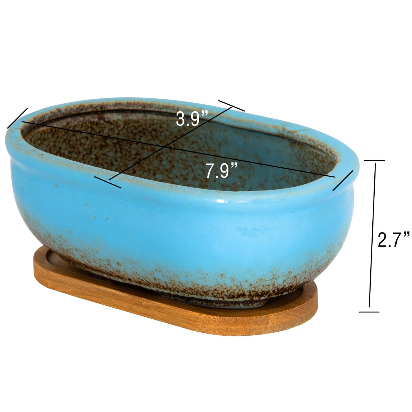 ARTKETTY Succulent Pots, 7.9 Inch Large Succulent Planters with Drainage Tray, Shallow Planters for Indoor Plants Ceramic Cactus Pots Glazed Bonsai Flower Plant Container for Home Windowsill Decor