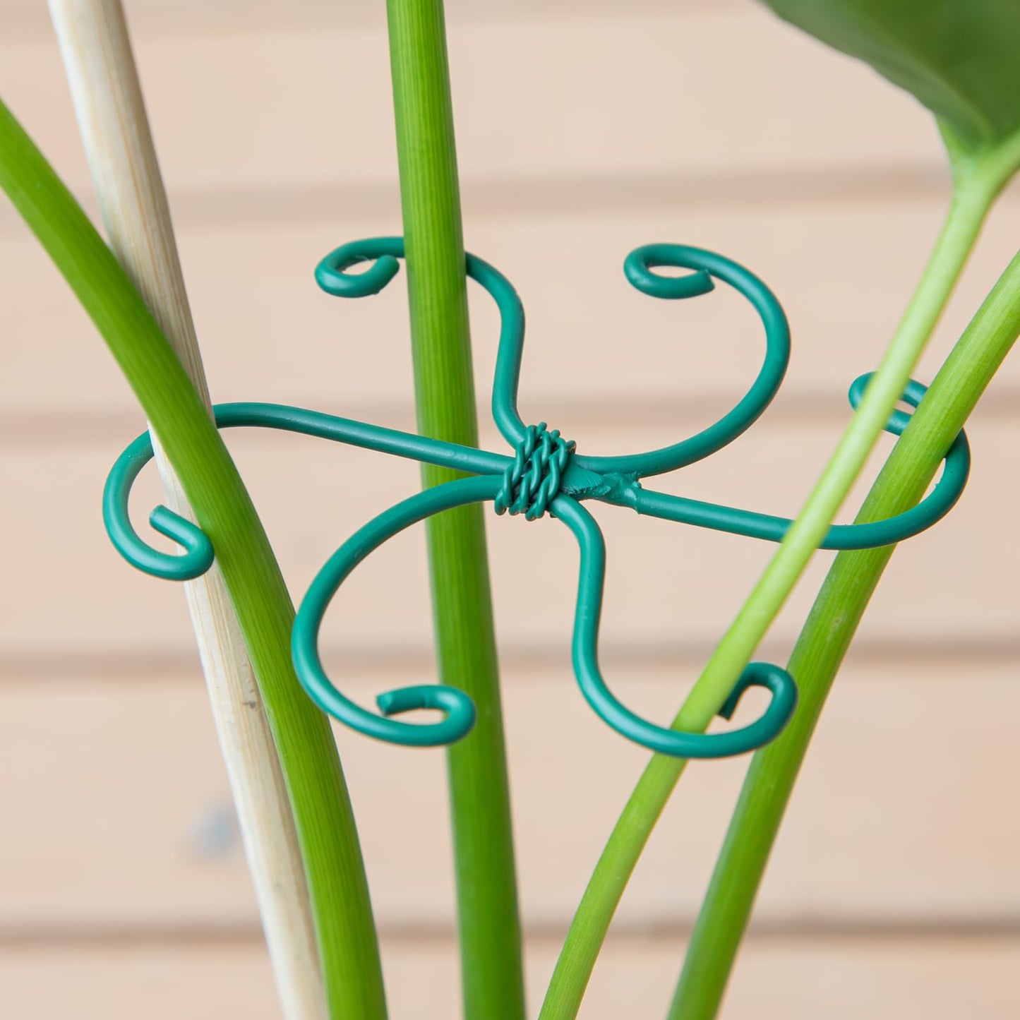 Yohsnor Monstera Plant Stem Support - Set of 5 Sturdy Indoor Support Sticks for Monstera & Climbing Plants - Essential Growth Stabilizers for Leaf Support - Easy-to-Use Gardening Accessories