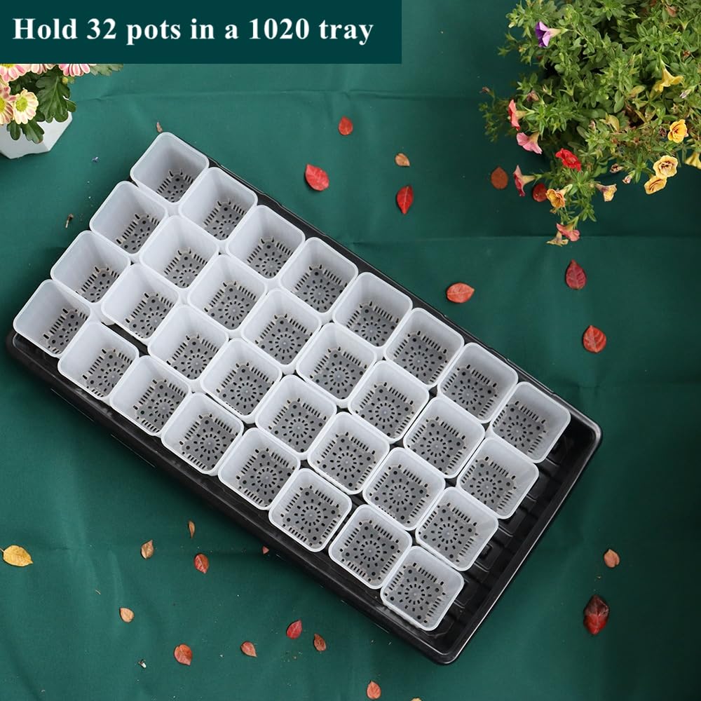 BangQiao 120 Pack 2.40 Inch Small Clear Plastic Square Nursery and Seedling Pot, Deep Transplant Seed Starter Planter with Drain Hole for Germination, Herb, Succulent