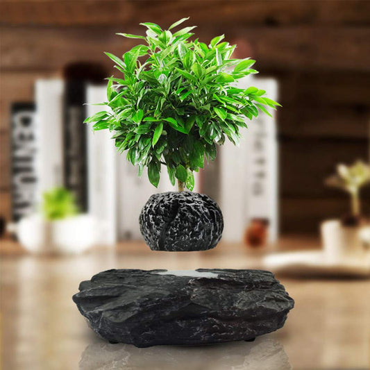 ZHHID Floating Flower Pot - Magnetic Suspension Levitating Air Flower Pots - Creative Design Levitation Bonsai - Home Office Decorations - Fun Gift,Black