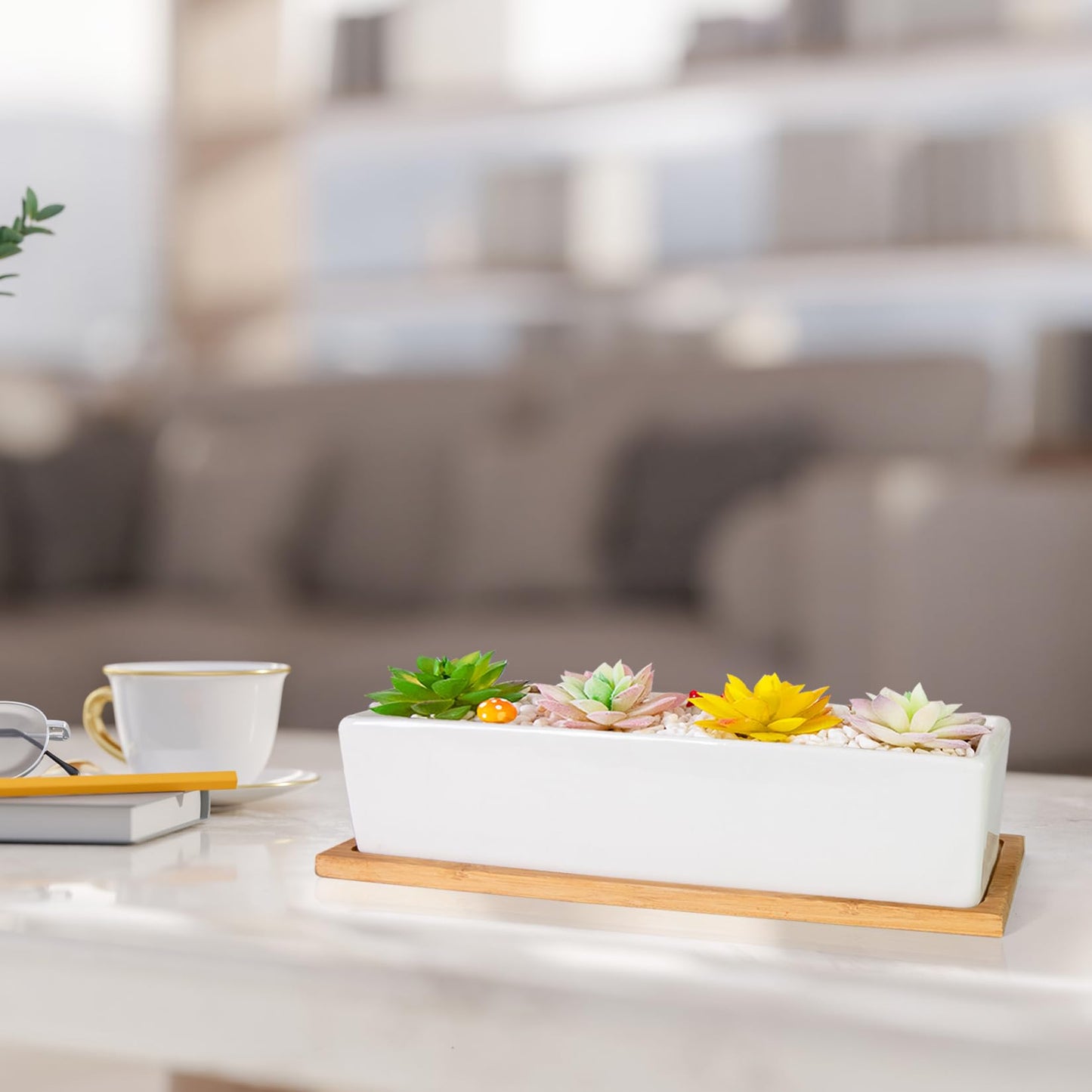 Succulent Pots - 12.1 Inch Large Succulent Pots with Drainage Tray, Window Sill Planter, Long Rectangle Ceramic Pots for Indoor Cactus/Succulent Plants Shallow Bonsai Window Box for Home Garden Decor