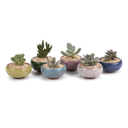 T4U 2.5 Inch Small Ceramic Succulent Planter Pot with Drainage Hole Set of 6, Ice Crack Glaze Plant Container for Cactus, Gardening Plant Gifts for Women Mom Aunt Home Office Decor
