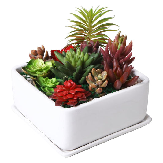 MyGift Modern White Ceramic Square Indoor Small Planter, Flower Succulent Plant Pot with Drainage Hole and Removable Drip Tray
