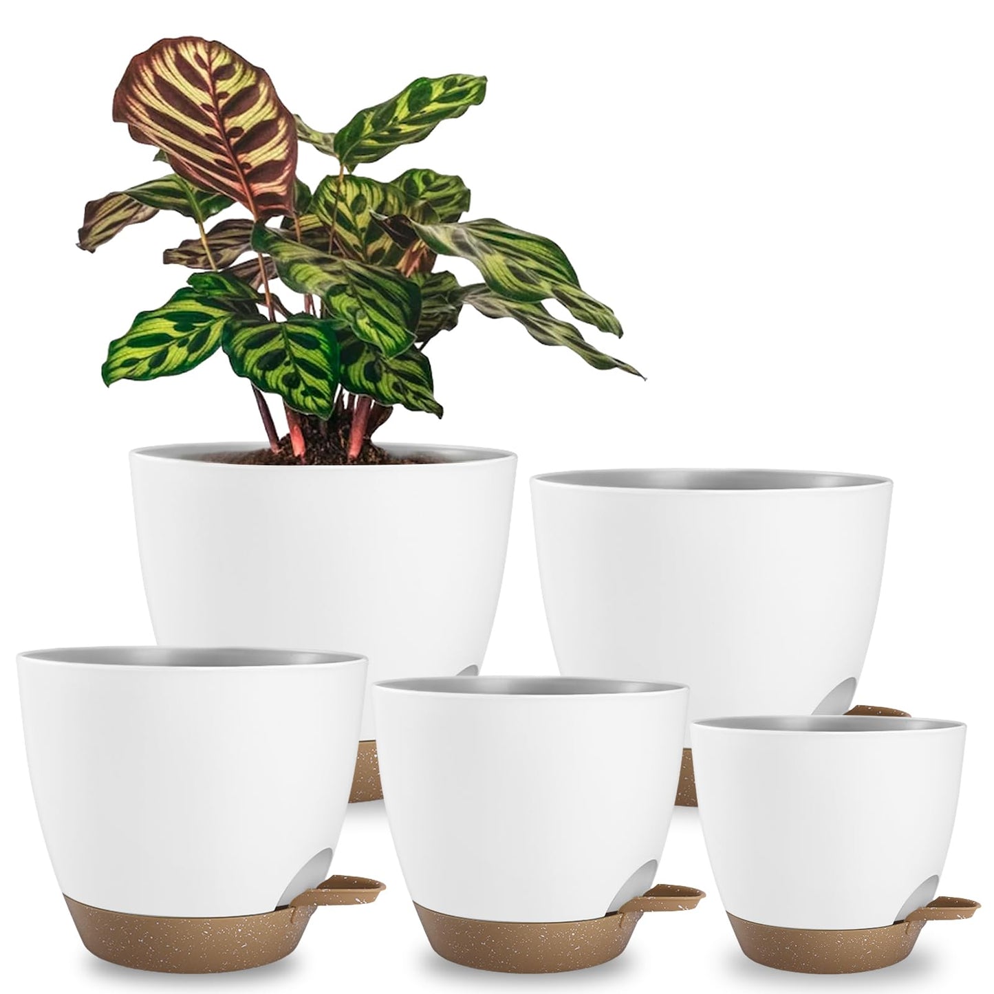 Hylitong Plant Pots 8/7.5/7/6.5/6 Inch Self Watering Pots,5 Pack Planters with Drainage Holes and Saucers,Plastic Flower Pots,Nursery Planters for Indoor Outdoor Plants (White)