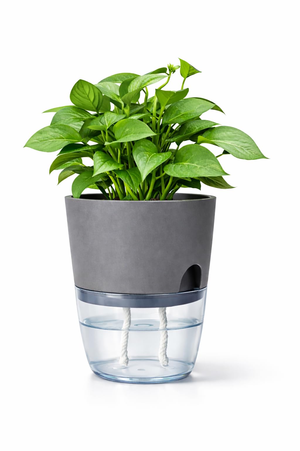 Self Watering Planter Pot with Upgraded Wick System – Modern Indoor Plant Pot with Visible Water Reservoir