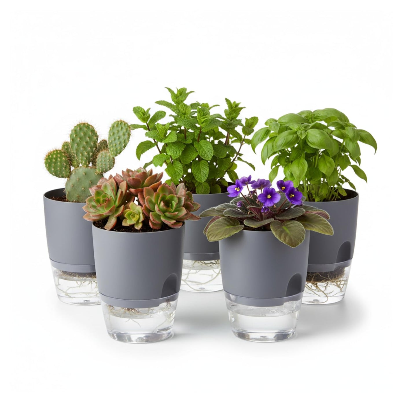 Thorkok 3.2 Inch Self Watering Planters Plastic Planter Pots 5 Pack Wicking Flower Pots Modern Decorative Planter for Small African Violets House Plants,Herbs,Indoor Outdoor Plant (Grey)