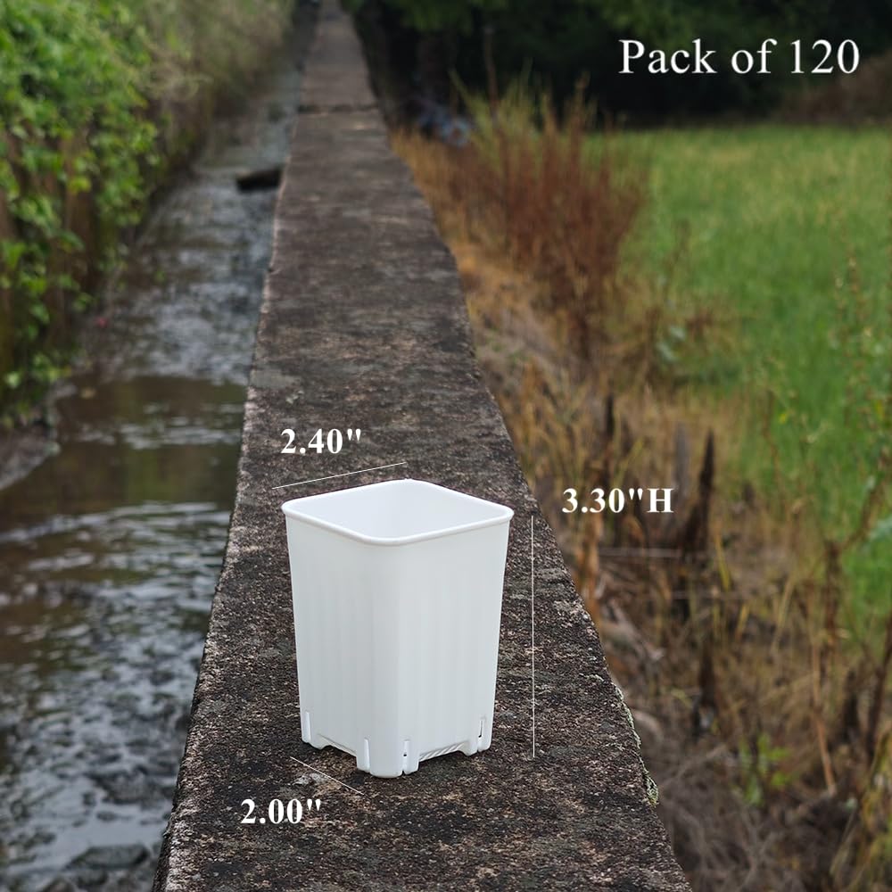 BangQiao 120 Pack 2.40 Inch Small White Plastic Square Nursery and Seedling Pot, Deep Transplant Seed Starter Planter with Drain Hole for Germination, Herb, Succulent