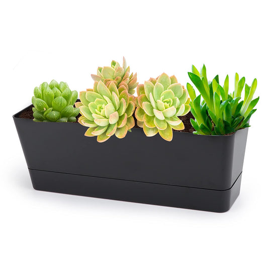 GREANER 12x3.8 Inch Herb Planters, 1 Pack Rectangle Window Boxes with Tray, Indoor Succulent Cactus Mint Plastic Pot for Windowsill, Balcony, Office, Outdoor Garden - Black